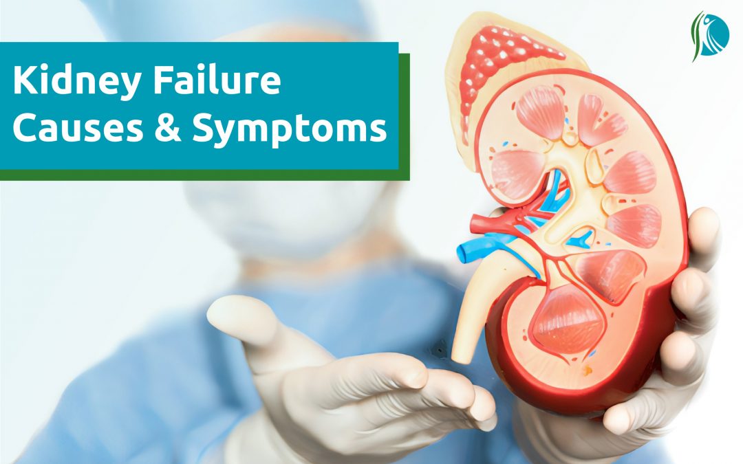 Kidney-Failure-Causes-&-Symptoms