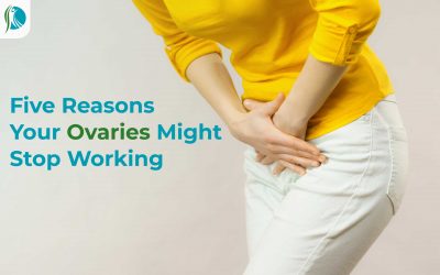 5 Reasons Your Ovaries Might Stop Working