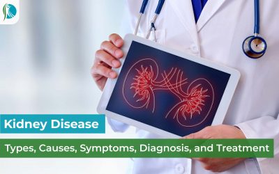 Kidney Disease: Types, Causes, Symptoms, Diagnosis, and Treatment